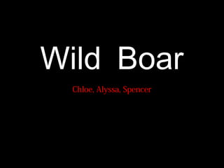 Wild Boar
  Chloe, Alyssa, Spencer
 