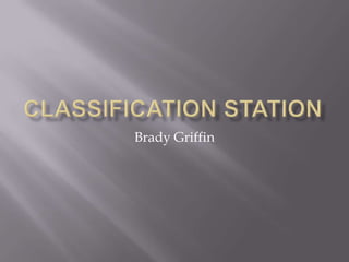 Classification station Brady Griffin 