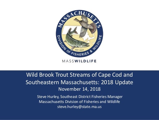 Wild Brook Trout Streams Of Cape Cod And Se Ma 11 14 18 Update Wild Brook Trout Streams Of Cape Cod And Se Ma 11 14 18 Update