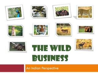 An Indian Perspective THE WILD BUSINESS 