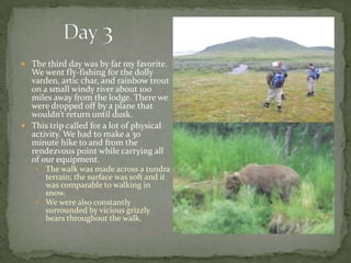          Day 3The third day was by far my favorite. We went fly-fishing for the dolly varden, artic char, and rainbow trout on a small windy river about 100 miles away from the lodge. There we were dropped off by a plane that wouldn’t return until dusk.This trip called for a lot of physical activity. We had to make a 30 minute hike to and from the rendezvous point while carrying all of our equipment.The walk was made across a tundra terrain; the surface was soft and it was comparable to walking in snow.We were also constantly surrounded by vicious grizzly bears throughout the walk. 