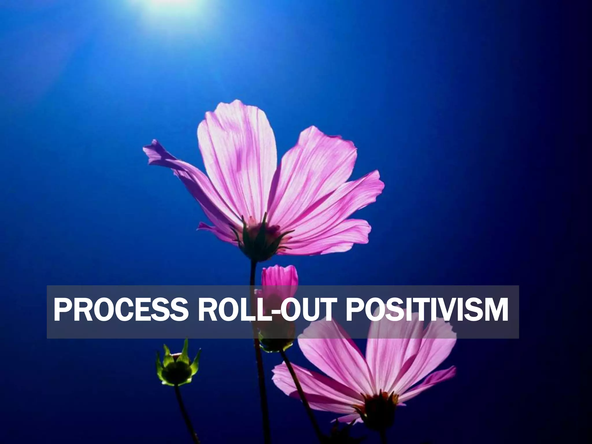 PROCESS ROLL-OUT POSITIVISM
 