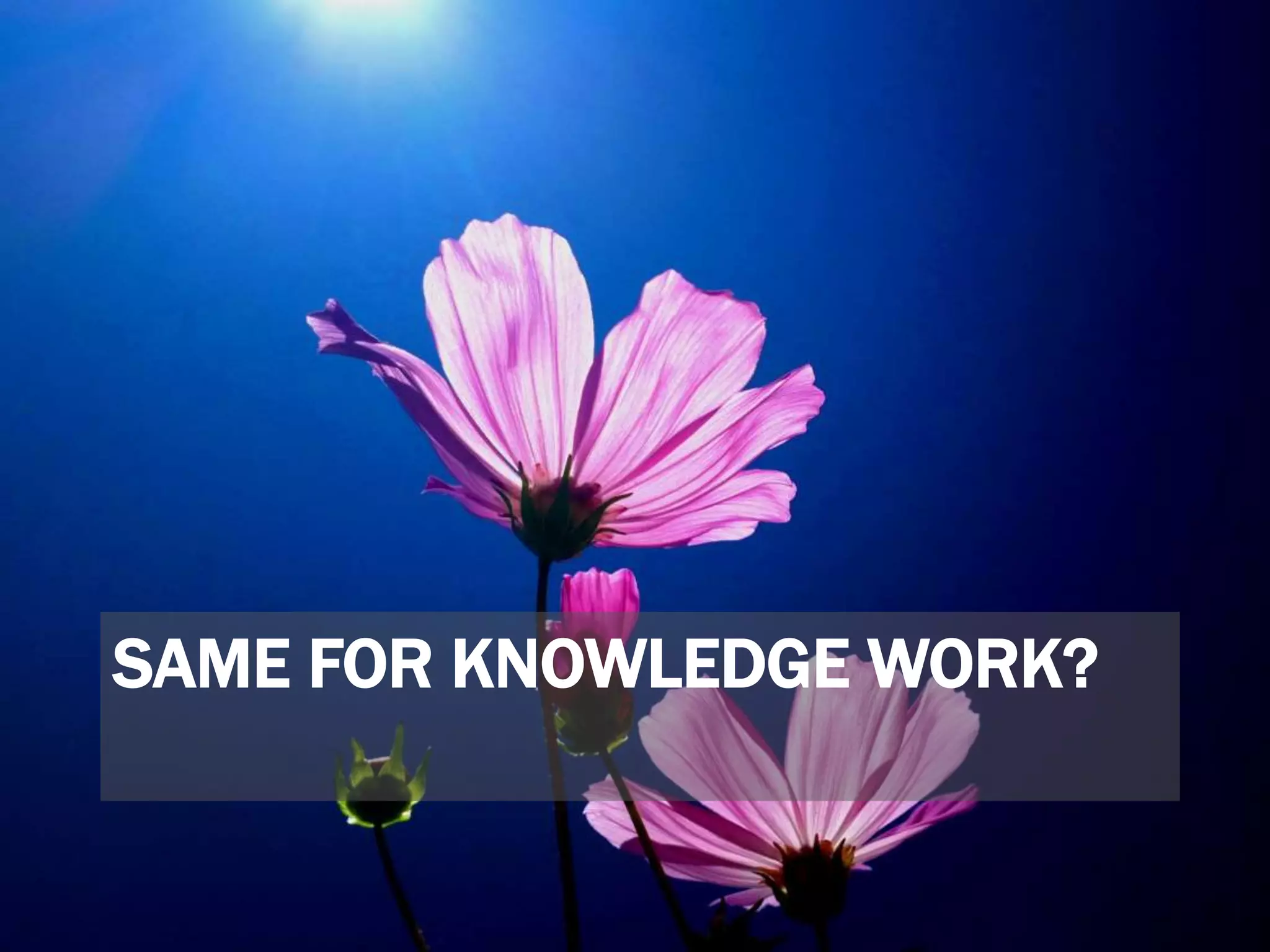 SAME FOR KNOWLEDGE WORK?
 