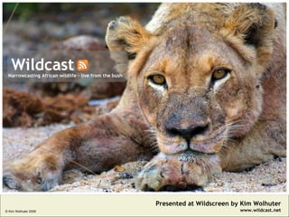 Wildcast Presented at Wildscreen by Kim Wolhuter www.wildcast.net Narrowcasting African wildlife - live from the bush © Kim Wolhuter 2006  