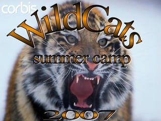 WildCats 2007 summer camp 