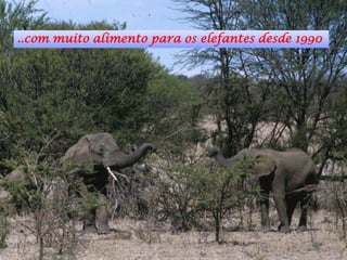Estados múltiplos de populações de
                               árvores no Serengeti
                         35
Cobertu...