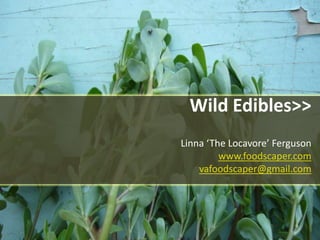 Wild Edibles>>Linna ‘The Locavore’ Ferguson www.foodscaper.comvafoodscaper@gmail.com 