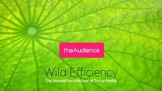 Wild EﬃciencyThe Natural Architecture of Social Media
 