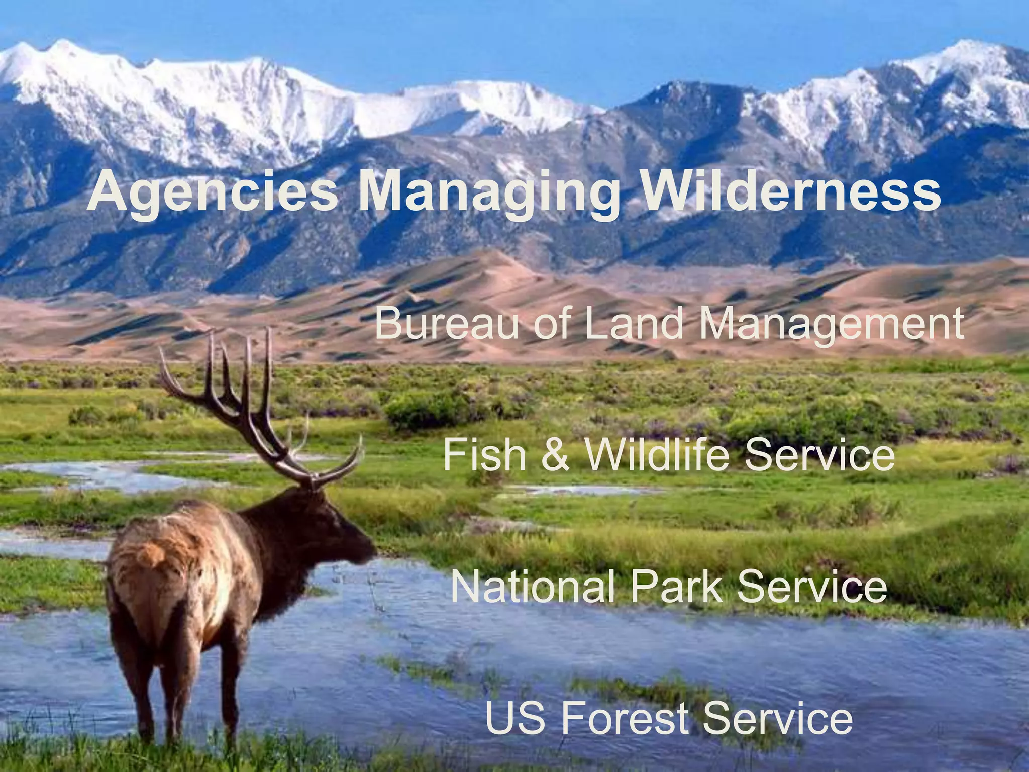 National Wilderness Preservation System (NWPS)