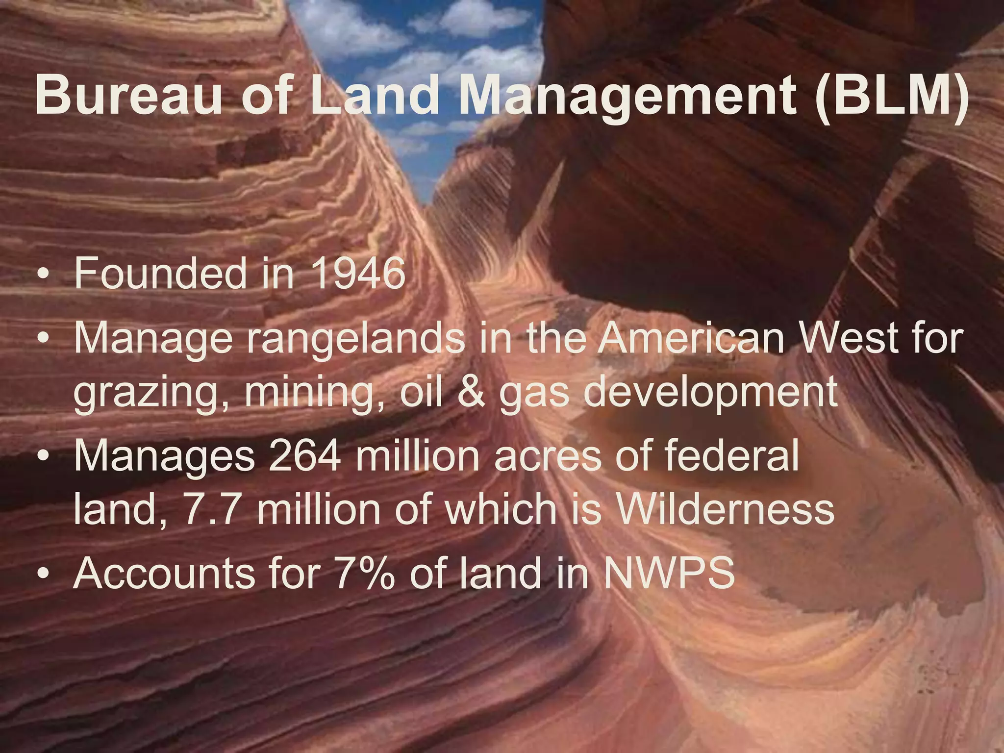 Agencies Managing WildernessBureau of Land ManagementFish & Wildlife Service National Park Service US Forest Service