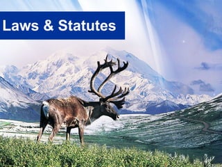 Laws & Statutes
 