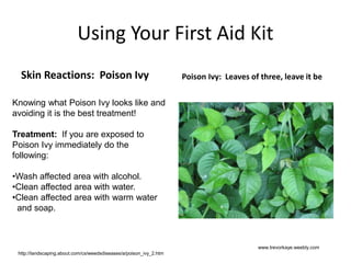Using Your First Aid Kit
Skin Reactions: Poison Ivy Poison Ivy: Leaves of three, leave it be
www.trevorkaye.weebly.com
Knowing what Poison Ivy looks like and
avoiding it is the best treatment!
Treatment: If you are exposed to
Poison Ivy immediately do the
following:
•Wash affected area with alcohol.
•Clean affected area with water.
•Clean affected area with warm water
and soap.
http://landscaping.about.com/cs/weedsdiseases/a/poison_ivy_2.htm
 
