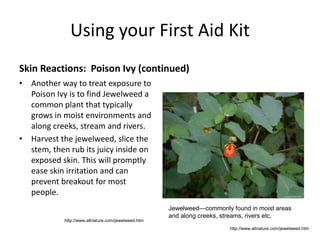 Using your First Aid Kit
Skin Reactions: Poison Ivy (continued)
• Another way to treat exposure to
Poison Ivy is to find Jewelweed a
common plant that typically
grows in moist environments and
along creeks, stream and rivers.
• Harvest the jewelweed, slice the
stem, then rub its juicy inside on
exposed skin. This will promptly
ease skin irritation and can
prevent breakout for most
people.
http://www.altnature.com/jewelweed.htm
http://www.altnature.com/jewelweed.htm
Jewelweed—commonly found in moist areas
and along creeks, streams, rivers etc.
 