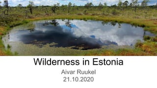 Wilderness in Estonia
Aivar Ruukel
21.10.2020
 