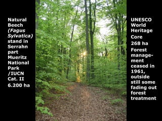 Natural      UNESCO
Beech        World
(Fagus       Heritage
Sylvatica)   Core
stand in     268 ha
Serrahn
part         Forest
Mueritz      manage-
National     ment
Park         ceased in
/IUCN        1961,
Cat. II      outside
             still some
6.200 ha     fading out
             forest
             treatment
 