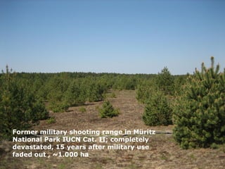 Former military shooting range in Müritz
National Park IUCN Cat. II; completely
devastated, 15 years after military use
faded out , ~1.000 ha
 