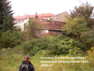 Dresden, Trachenberger Platz,
Abandoned backyard since 1994,
1000 m²
 
