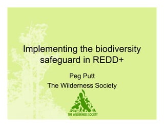 Implementing the biodiversity
    safeguard in REDD+
            Peg Putt
     The Wilderness Society
 