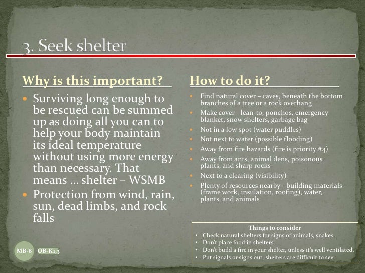 Wilderness Survival The BSA Way 11 08 09