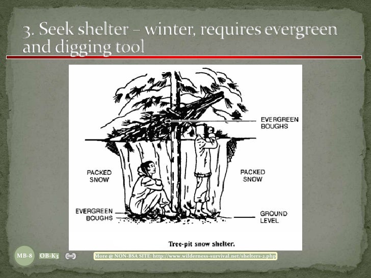 Wilderness Survival The BSA Way 11 08 09