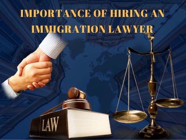 Image result for Immigration Lawyer