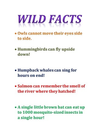 Hummingbirds can fly upside 
down! 
 Humpback whales can sing for 
hours on end! 
 Salmon can remember the smell of 
the river where they hatched! 
 A single little brown bat can eat up 
to 1000 mosquito-sized insects in 
a single hour! 
