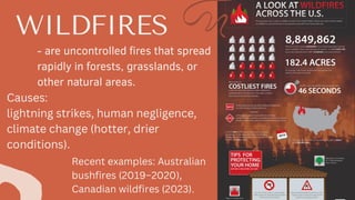 Wildfire-impact-on-biosphere-atmosphere-geosphere-and-hydrosphere ...
