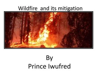 Wildfire and its mitigation
By
Prince Iwufred
 