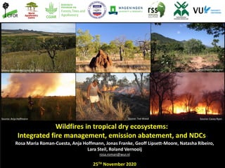 Wildfires in tropical dry ecosystems:
Integrated fire management, emission abatement, and NDCs
Rosa Maria Roman-Cuesta, Anja Hoffmann, Jonas Franke, Geoff Lipsett-Moore, Natasha Ribeiro,
Lara Steil, Roland Vernooij
rosa.roman@wur.nl
25TH November 2020
Source: Casey RyanSource: Anja Hoffmann
Source: Wikimedia/Jonathan Wilkins
Source: Ted Wood
Source: Thomas WagnerSource: Iness Larry
 