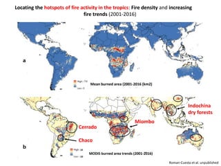 Wildfires in tropical dry ecosystems: Integrated fire management, emission abatement, and NDCs