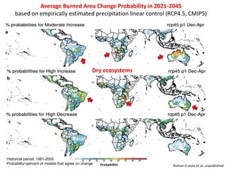 Wildfires in tropical dry ecosystems: Integrated fire management, emission abatement, and NDCs