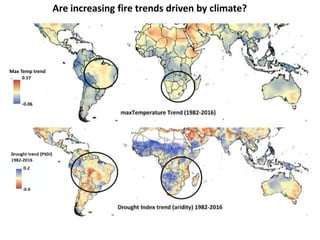 Wildfires in tropical dry ecosystems: Integrated fire management, emission abatement, and NDCs