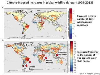 Wildfires in tropical dry ecosystems: Integrated fire management, emission abatement, and NDCs