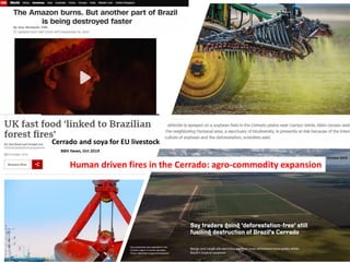 Wildfires in tropical dry ecosystems: Integrated fire management, emission abatement, and NDCs