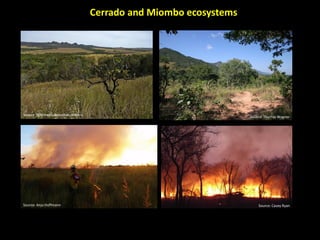 Wildfires in tropical dry ecosystems: Integrated fire management, emission abatement, and NDCs
