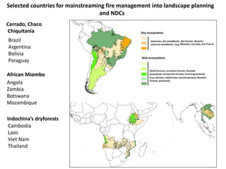 Wildfires in tropical dry ecosystems: Integrated fire management, emission abatement, and NDCs