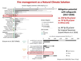 Wildfires in tropical dry ecosystems: Integrated fire management, emission abatement, and NDCs