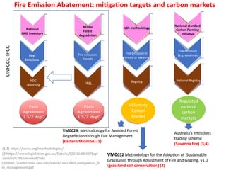 Wildfires in tropical dry ecosystems: Integrated fire management, emission abatement, and NDCs