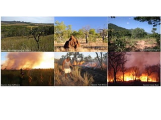 Wildfires in tropical dry ecosystems: Integrated fire management, emission abatement, and NDCs