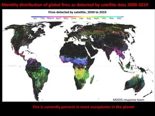 MODIS response team
Monthly distribution of global fires as detected by satellite data 2000-2019
Fire is currently present...