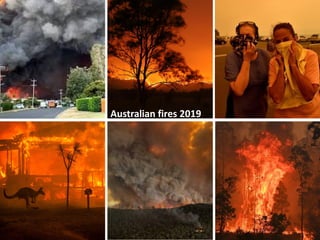 Wildfires in tropical dry ecosystems: Integrated fire management, emission abatement, and NDCs