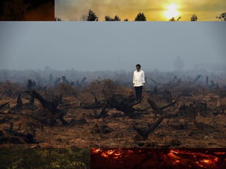 Wildfires in tropical dry ecosystems: Integrated fire management, emission abatement, and NDCs