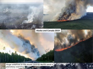 Wildfires in tropical dry ecosystems: Integrated fire management, emission abatement, and NDCs