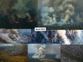 Wildfires in tropical dry ecosystems: Integrated fire management, emission abatement, and NDCs