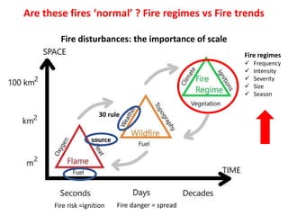 Wildfires in tropical dry ecosystems: Integrated fire management, emission abatement, and NDCs