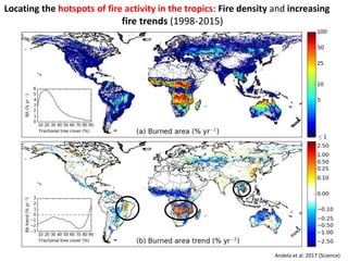 Wildfires in tropical dry ecosystems: Integrated fire management, emission abatement, and NDCs