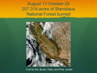 August 17-October 25
257,314 acres of Stanislaus
National Forest burned

Fuel for fire: Brush, Oaks, and Pine, conifer

 