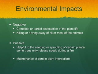 Environmental Impacts
 Negative
 Complete or partial devastation of the plant life
 Killing or driving away of all or most of the animals

 Positive
 Helpful to the seeding or sprouting of certain plantssome trees only release seeds during a fire
 Maintenance of certain plant interactions

 