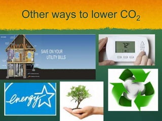 Other ways to lower CO2

 