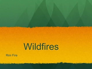 Wildfires
Rim Fire

 